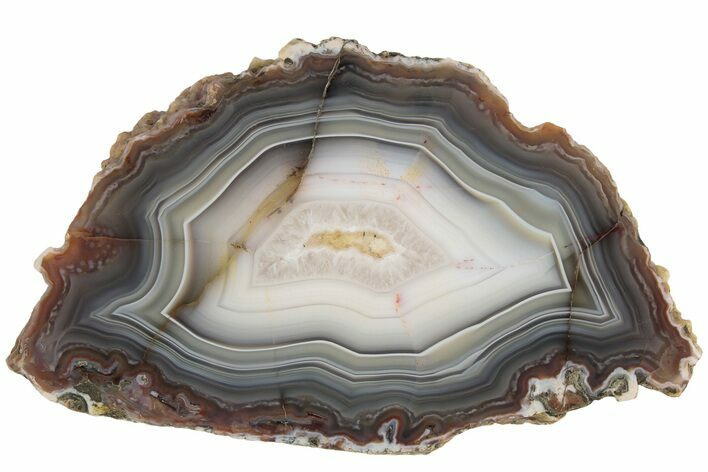 Polished Banded Agate Nodule Slice - Kerrouchen, Morocco #186956